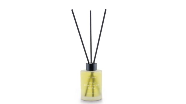 Reed Diffuser - A Much Better Livingroom by Home of HMNS. [HMNS]