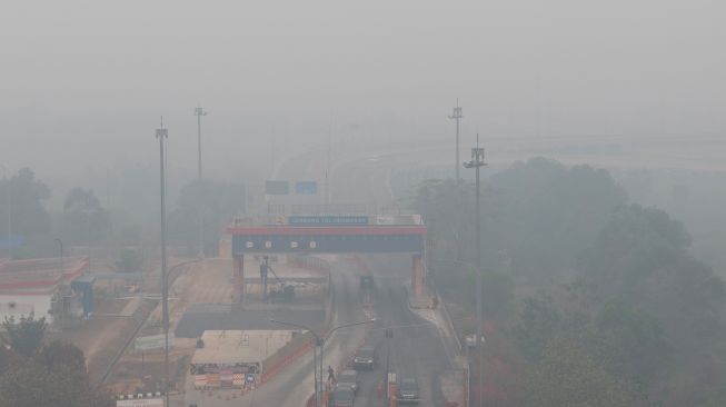 Sejumlah kendaraan mengantre untuk melintasi Gerbang Tol Kramasan di Jalan Tol Trans-Sumatera (JTTS) ruas Palembang-Lampung yang tertutup kabut asap di Desa Ibul Besar III, Pemulutan, Ogan Ilir, Sumatera Selatan, Selasa (13/10/2026). [ANTARA FOTO/Nova Wahyudi/tom]
