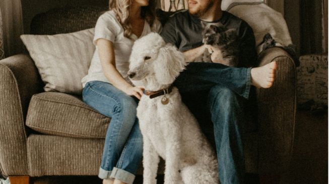 Pet Parents: Mengapa Banyak Lajang Urban Memilih Rawat Hewan?