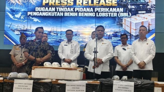 9 Kali Lolos, Aksi Sindikat Baby Lobster Rp170 Miliar Terkuak Saat Hendak 'Oper Barang' di Limo
