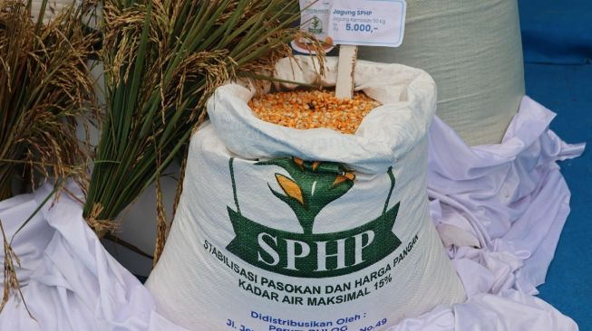 Penyaluran jagung SPHP Tahap II diharapkan dapat memperluas akses peternak mikro terhadap jagung pakan sekaligus membantu menjaga efisiensi biaya produksi peternakan. (Dok. Bulog)