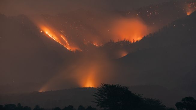 Api membakar vegetasi di kawasan Gunung Arjuno, Lawang, Kabupaten Malang, Jawa Timur, Selasa (20/10/2026). [ANTARA FOTO/Irfan Sumanjaya/YU]