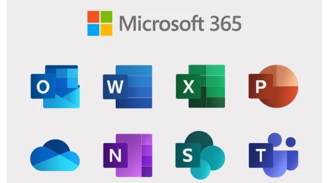 Microsoft 365 (ntq)