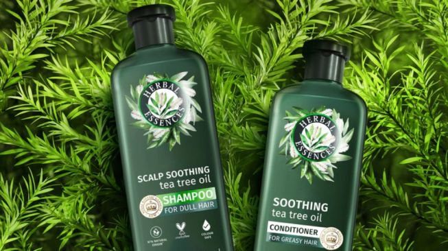 Herbal Essences Tea Tree Oil Shampoo