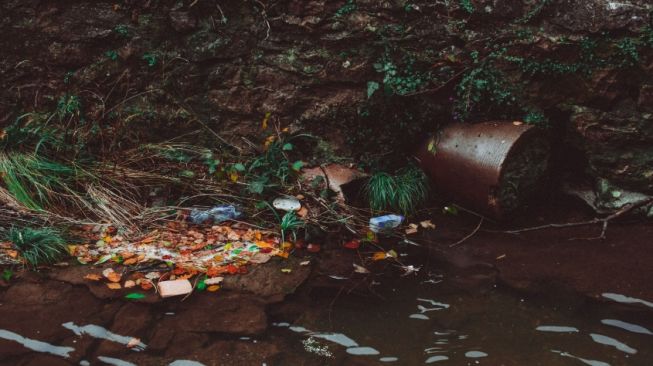 Enzim Bakteri Bisa Urai Plastik, Ilmuwan Kembangkan Material Biodegradable