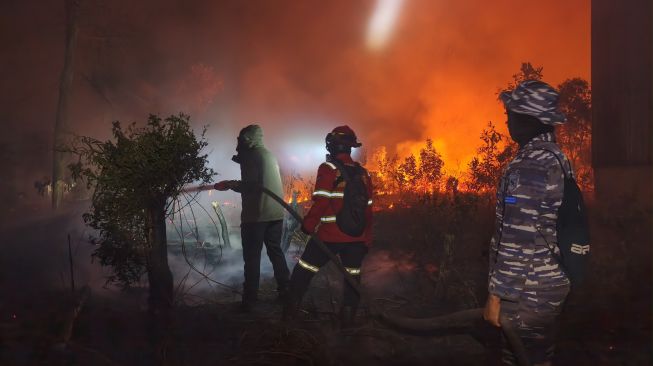 Kerugian Karhutla Bisa Capai Ratusan Triliun, Pakar Ingatkan Dampaknya Berlangsung Puluhan Tahun