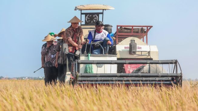 Gubernur Jawa Tengah, Ahmad Luthfi saat panen padi. 