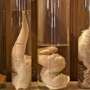 Museum Pengkoleksi Penis 