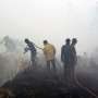19 Ribu Hektar Lahan Lenyap Terbakar di Riau