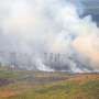 Lokasi Suaka Margasatwa di Riau yang Ikut Terbakar