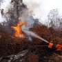 Hutan Riau Terbakar, Kepala BNPB Pertanyakan Kinerja Polisi