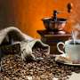 8 Kota Paling Asyik Untuk Ngopi