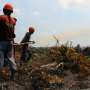 Api Muncul Lagi di Riau
