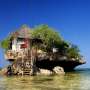 Sepenggal Mimpi di Zanzibar