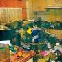 Di Rumah "Superkotor" Ini, Anak Usia 5 Tahun Tewas Mengenaskan