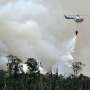 Riau Masih Aman dari Ancaman Kabut Asap