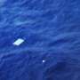 Beberapa Benda Beraneka Warna Terlihat di Lokasi Pencarian MH370