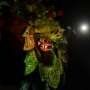 Tari Tradisional Bali Jadi Warisan Budaya Dunia