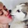 Haru Biru Konser Miley Cyrus di Boston