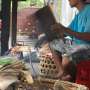 Tetap di Rumah Aja, Resep Sate Lilit Bali yang Enak dan Mudah