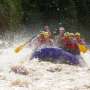 Rasakan Serunya Rafting di Sungai Elo Progo