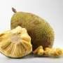 Ilmuwan: Nangka Bisa Jadi Pengganti Beras, Gandum, dan Jagung