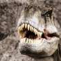 Ternyata, Dinosaurus Belum Punah