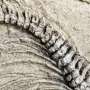 Fosil Dinosaurus Berleher Panjang Ditemukan di Argentina