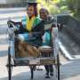 Anak 'Tukang' Becak Raih Wisudawati Terbaik Unnes