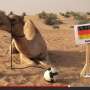 Unta Ini "Ramalkan" Portugal Kalahkan Jerman