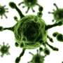 Tiga Orang Inggris Terserang Virus Zika