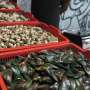 Asyiknya Nongkrong Sambil "Nyemil" Kerang 