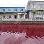 Sungai Ini Berubah Warna Menjadi Merah Darah