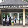 Miris! Imbas PPKM, Kebun Binatang Bandung akan Sembelih Angsa dan Rusa untuk Pakan Macan
