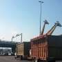 Kepala Hantam Beton Jembatan Layang, Jerapah Ini Tewas