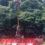 HUT RI ke 69, Bonbin Ragunan Gelar Panjat Pinang