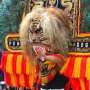 Wisatawan Jepang Kagumi Reog Ponorogo