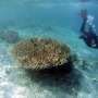 Surga Bagi Para Adventurer, Ini Potensi Wisata Petualangan di Indonesia