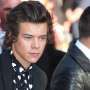 Harry Styles Belajar Bela Diri dari Tentara Israel