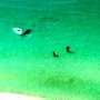 Main di Pinggir Pantai, Dua Orang Ini Nyaris Disantap Hiu