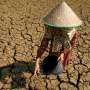 Kekeringan Tahun 2019 Lebih Parah dari Tahun Lalu, Puncaknya Bulan Agustus