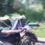 Lihat Cara Orang Ini Berkendara dengan Banyak Sampah di Motornya