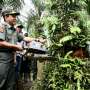 Cegah Bencana Ekologi, Sawit Ilegal di Hutan Lindung Dimusnahkan