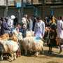 Cegah Covid-19, Afghanistan Bebaskan 10.000 Narapidana