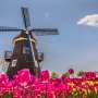 Belanda Jelang Lockdown COVID-19: Keep Calm dan Antri Ganja