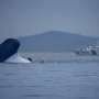 CEO Feri Sewol Dihukum 10 Tahun Penjara