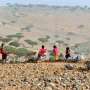 Socotra, Dunia yang Hilang di Yaman
