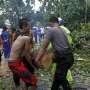 Pohon Tumbang Kebun Raya Bogor, Seluruh Korban Dapat Bantuan