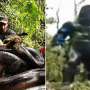Lelaki Ini Dimakan Hidup-hidup oleh Anaconda