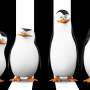 Aksi Kocak Empat Penguin Saat Jalankan Misi Spionase